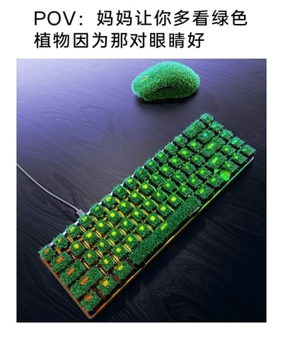 这是一张充满创意的搞笑静态图，图上方配有文字“POV：妈妈让你多看绿色植物因为那对眼睛好”，画面主体是被仿真草皮完全覆盖的键盘和鼠标：键盘的每个按键以及边缘都铺满了绿色的仿真草，同时键盘还带有绿色背光，进一步强化“绿色”的视觉效果；鼠标也被完整的绿色草皮包裹，放置在深色桌面的键盘旁。这张图用夸张、硬核的方式将“多看绿色护眼”的日常叮嘱具象化，把日常使用的电子设备改造为“绿色植物”形态，制造出荒诞又好笑的效果，精准戳中经常使用电脑、被长辈叮嘱护眼的人群的共鸣点。