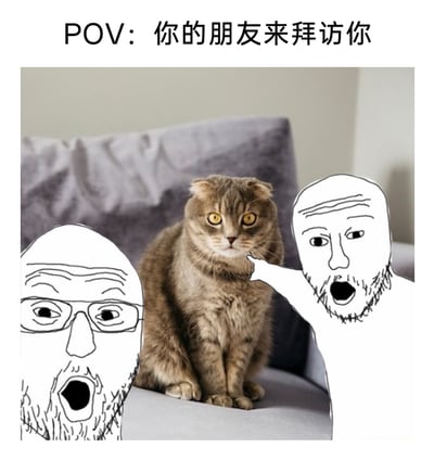 这是一张搞笑宠物梗图，顶部标注文字“POV：你的朋友来拜访你”，画面中心是一只端正坐在灰色沙发上的苏格兰折耳猫，猫咪瞪大双眼，表情无奈又茫然；左右两侧各有一个手绘的光头胡子大叔形象，两人都嘴巴大张，露出十分惊讶的神情，右侧的大叔还伸出手指着猫咪。这张图夸张地还原了朋友来访时，注意力完全被家中猫咪吸引，将主人忽略，只顾着关注猫咪的搞笑场景，生动展现了宠物主人的真实日常。