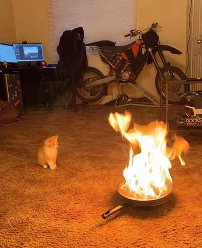 室内场景中，一只橘猫正坐在地毯上，好奇地注视着前方地板上一个平底锅，锅里燃起了熊熊大火。另一只橘猫似乎正从火焰中跑过，形成一种戏剧性的视觉效果。背景中可以看到一辆黑色和橙色相间的 dirt bike 斜靠在墙边，旁边有一个书桌，上面放着两台电脑显示器，显示着不同的内容。房间整体看起来像是一个兼具工作区和储物功能的空间，地毯、衣物和各种物品散落在各处，营造出一种生活化的凌乱感。