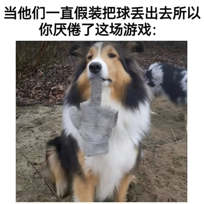 图片上方配有文字“当他们一直假装把球丢出去所以你厌倦了这场游戏：”，下方是一张柯利犬的照片。狗狗毛发呈棕、黑、白三色，正坐在铺满落叶和泥土的地面上，嘴里叼着一块灰色的石头，眼神平静中带着一丝冷漠，仿佛对反复假装丢球的游戏感到厌倦，用叼石头的方式表达不再配合的态度。背景中可见模糊的树枝和另一部分狗的身体。