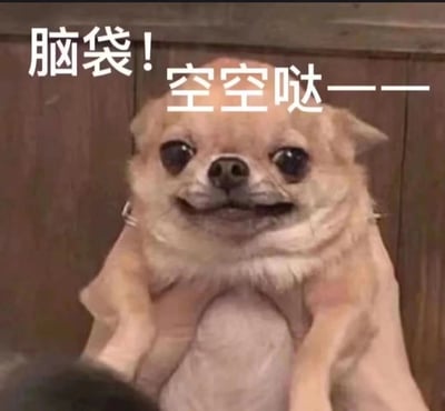 图片中是一只浅棕色的吉娃娃，正坐着直视镜头，大大的眼睛显得呆萌可爱，嘴角微微上扬似在微笑。背景为木质纹理墙面，上方叠加白色文字“脑袋！空空哒——”，整体营造出一种幽默可爱的氛围，常用来调侃自己或他人大脑一片空白、没有思绪的状态。