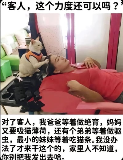 图片中一位穿着红色衣服的人躺在椅子上，一只戴着橙色背心的白猫站立在其头部，用爪子轻轻按压头部，仿佛在进行按摩服务。图片上方配有猫咪的台词“客人，这个力度还可以吗？”，下方则是猫咪的内心吐槽：“对了客人，我爸爸等着做绝育，妈妈又要吸猫薄荷，还有个弟弟等着做驱虫，最小的妹妹等着吃猫条。我没办法了才来干这个的，家里人不知道，你别把我发出去哈。”通过拟人化手法，将猫咪塑造成肩负家庭重担的“打工猫”形象，形成幽默反差萌。