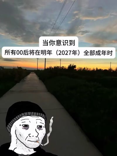 这是一张合成的网络梗图，背景是实拍的黄昏时分的乡间场景：一条水泥路向远方延伸，两侧是低矮的植被，远处的天空从地平线的暖橙黄色向上过渡为灰蓝色，分布着云层，还有电线杆和电线。左下角合成了网络流行的Doomer Wojak卡通形象，该形象戴着针织帽，神态沧桑疲惫，嘴叼着正在冒烟的香烟。图片上方配有白色气泡文字“当你意识到 所有00后将在明年（2027年）全部成年时”，整体用来抒发大众对于时间飞速流逝、代际更迭的怅然和对青春逝去的感慨。