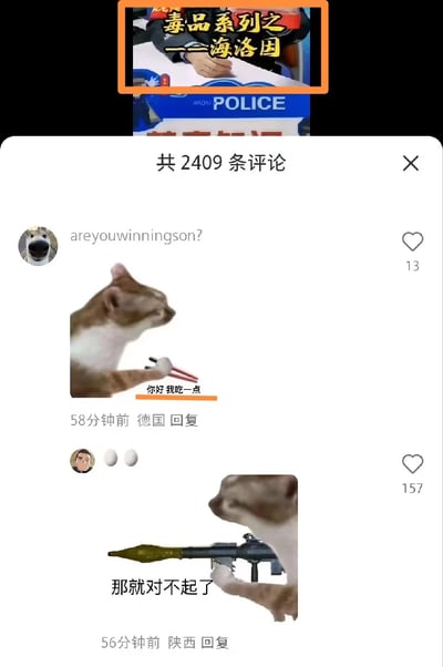 这是一张国内短视频平台的评论区截图，顶部显示的是“毒品系列之——海洛因”的禁毒相关视频内容，下方是两条用户的互动评论。来自德国的用户“areyouwinningson?”发布了一张经过P图的猫咪梗图，猫咪手持筷子，配文“你好 我吃一点”，用玩笑的语气“索要”毒品；随后来自陕西的用户回复了另一张P图猫咪梗图，猫咪手持火箭筒，配文“那就对不起了”，用极具反差感的幽默方式，表达对毒品的零容忍态度，拒绝任何尝试毒品的行为，在禁毒主题的内容下用玩梗的方式传递严肃的禁毒立场。