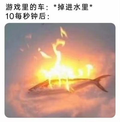 这是一张用来吐槽游戏中反物理设定的梗图，上方配有文字：“游戏里的车：*掉进水里* 10每秒钟后：”，下方配图是一条在水中燃烧的鱼。图中用夸张且离谱的反差效果，调侃部分游戏中存在的不符合现实逻辑的bug或设定——现实中车辆落水后会熄火沉没，而游戏里却出现完全不相关的、在水里燃烧的鱼这种荒诞的情况，以此来表达玩家对游戏不合理设定的吐槽。
