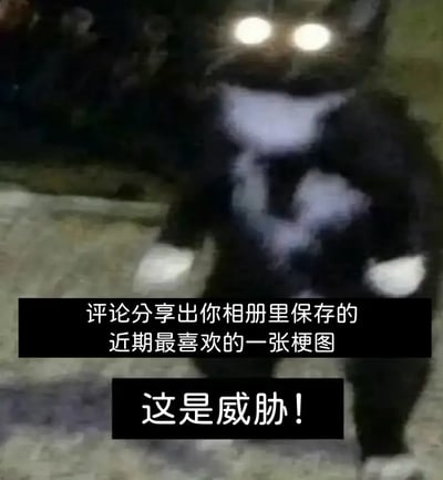这张图是一只黑白猫咪，模糊夜拍，眼睛有强烈反光变成了两束光点，给人一种威胁感。
图片下方配字“这是威胁！”营造出搞笑的‘网络威胁’氛围。

图片中有一种‘反差萌’——明明是可爱猫咪却被暗夜和发光眼睛包装成‘威胁’形象，带有网络流行的装傻氛围。
没有明显谐音梗或双关。
