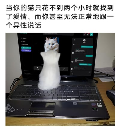 这是一张经过P图改编的搞笑静态图，画面主体是一只白色猫咪的身体趴在笔记本电脑的键盘上，电脑屏幕显示着一个线上聊天界面，界面里有这只猫咪的头像，以及它和另一只名为“jasper”的猫咪的聊天记录，聊天内容都是模仿猫叫的拟声词，营造出猫咪正在线上“网恋”的场景。图片上方配有对应标题文字，通过猫咪快速“找到爱情”和自己社恐到无法和异性正常交流的强烈反差，调侃当代部分年轻人的社交恐惧与单身处境，充满自嘲意味。