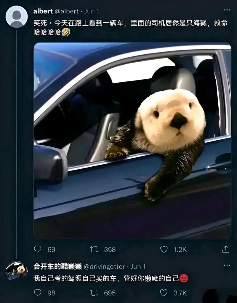 海獭