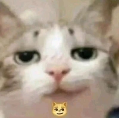 这是一张近距离拍摄的猫咪特写静态图，猫咪的面部表情与画面下方的😼emoji高度相似：猫咪的眼神略带审视感，面部肌肉的形态让它的嘴角呈现出类似坏笑的弧度，和emoji的挑眉坏笑神态几乎重合，整体画面充满趣味性，是非常适合用来表达调侃、坏笑、无语等情绪的表情包素材。