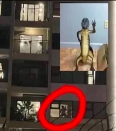 这张图将一栋居民楼的夜景照片和一只站立打招呼的鳄鱼P图合成。画面下方有一个红圈明显圈出一户窗户的影子，影子形似一只巨大的动物或怪兽，引发网友联想。右上角插入一只奇葩姿势、做出打招呼动作的鳄鱼，暗示红圈内的影子就是它本蛇（鳄鱼）。这种离谱而搞笑的组合，属于抖机灵类的视觉梗，利用错位以及胡乱P图制造幽默和神秘感。没有明显的谐音梗或双关，但属于错位与合成幽默。