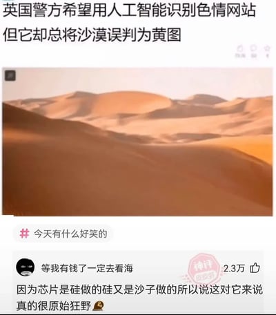 这是一张调侃英国警方使用AI识别色情网站，但AI总是将沙漠图片误判为“黄图”的梗图。图中配有一张沙漠的照片，和一段网友幽默评论，将芯片、硅和沙子制造的本质联系起来，体现出人类原始的幽默和野性。图片既有双关（“黄图”为色情图片，也暗指画面整体泛黄），也有科技与生活的幽默结合。评论部分脑洞大开，增加了搞笑气氛。

本图存在「黄图」的颜色双关：用以嘲讽AI色图识别能力，以及网络常见“颜色”相关谐音梗。
