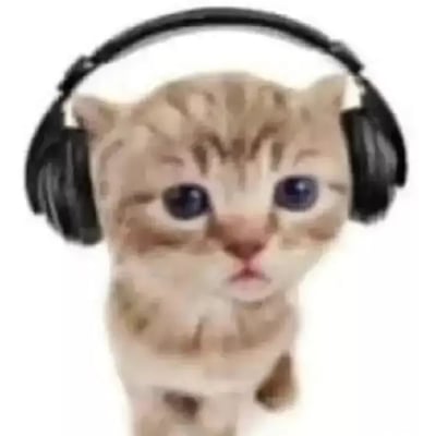 这张图片展示了一只猫咪戴着夸张的大耳机，呈现出一种极富喜感和音乐氛围的场景。虽然猫的面部被遮挡，但猫咪佩戴耳机的形象常常用于表达沉浸、享受音乐或“高冷DJ”风格的网络趣味。整体画面简洁、风格轻松，非常适合用作表达“我在专心听音乐”或“享受时刻”的网络情绪。

没有发现明显的谐音梗或双关，但是这种“给动物戴上人类配饰”的设定本身就是网络常见的一种搞笑二创手法。