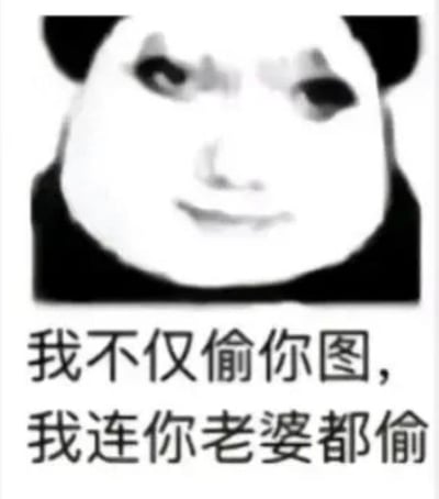 这是一张二次创作的熊猫头表情包，上方是将真人面部（金馆长的脸）与熊猫头拼接而成的形象，面部神态嚣张又带着欠揍的得意感；下方配有黑色文字“我不仅偷你图，我连你老婆都偷”。这张图用极端夸张的表述来调侃网络上的盗图行为，将盗图的行为放大到荒诞的程度，以此制造出搞笑的效果，适合用于和朋友玩梗互动，或是吐槽盗图现象，图中没有双关、谐音梗等内容。