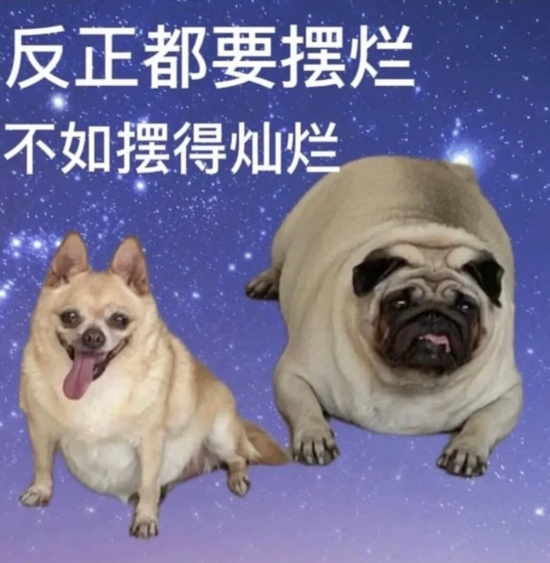 狗