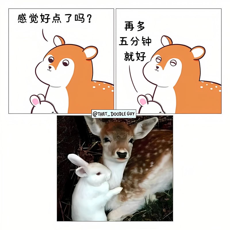 小鹿