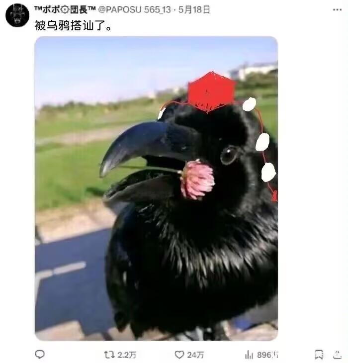 乌鸦