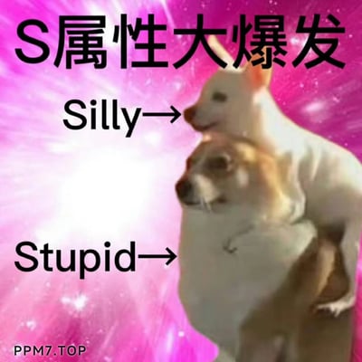 这是一张基于网络流行梗改编的搞笑静态梗图，背景采用粉紫色放射状闪光特效营造出“爆发”的氛围，画面主体是两只被合成叠在一起的狗狗，顶部配文“S属性大爆发”，并分别用箭头标注上方狗狗为“Silly（傻气的）”、下方狗狗为“Stupid（愚蠢的）”，玩了“S属性”的谐音梗，将原本指代强势、支配特质的S属性，替换为代表傻气、愚蠢的英文单词首字母，结合魔性的叠狗形象，用来调侃自己或他人犯傻、搞怪的状态，图的左下角带有“PPM7.TOP”的水印。