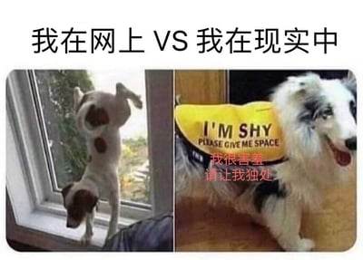 这张梗图通过两只性格反差狗狗的对比，生动展现“我在网上”和“我在现实中”的不同表现。左侧狗狗倒立张扬，代表网友在网络世界自信放飞自我的一面；右侧狗狗头戴‘我很害羞，请让我独处’的黄色提示牌，代表现实生活中的害羞腼腆一面。幽默自嘲社交恐惧，画面简单却极具共鸣，常被用来表达线上线下性格巨大落差。
