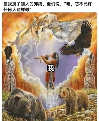 这是一张充满趣味的网络梗图，顶部配有文字说明“当我摸了别人的狗狗，他们说，‘哇，它不允许任何人这样做’”，图中底图是一幅带有印第安文化元素的自然主题插画：画面中央的印第安风格人物被标注为“我”，正站立着吹奏传统乐器，人物上方有两只形态融合的狼，两侧有展翅的白头鹰，画面下方有两只棕熊，左右两侧还有印第安图腾柱，整体画面营造出一种“我”与所有野生动物都能和谐共处、自带超强动物缘的宏大氛围。该梗图通过这种夸张的画面，调侃自己被旁人夸赞能亲近别人不让触碰的狗狗这件事，用反差感放大日常小事的搞笑效果，表达了一种对自己“动物缘”的趣味自嘲。