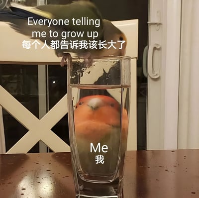 一只绿色鹦鹉站在装满水的玻璃杯边缘，低头看着水中自己的倒影。图片上方有文字"Everyone telling me to grow up 每个人都告诉我该长大了"，玻璃杯下方有文字"Me 我"。这张图通过鹦鹉看倒影的场景，幽默地表达了面对他人催促成长时，自己内心仍想保持本真的状态。