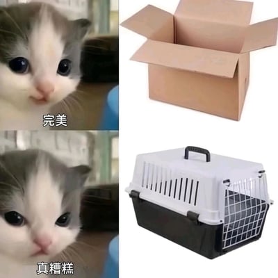 这是一张上下拼接的对比图，上半部分左侧是一只表情看起来很满意的灰白AI生成小猫，配文“完美”，右侧是一个普通的打开的瓦楞纸箱；下半部分左侧是同一只小猫，表情看起来低落，配文“真糟糕”，右侧是一个带透气孔和提手的正规宠物航空箱。这组图用猫咪的表情变化和配文，幽默地表现出猫咪更喜欢普通纸箱，而对专门设计的宠物航空箱不感兴趣的反差感，精准贴合猫咪天生喜欢钻纸箱的习性，充满趣味。