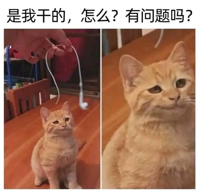 这是一张双面板表情包，左侧显示一只橘猫看着被弄坏的白色耳机线（一只手拿着线），右侧是橘猫的特写。顶部文字为‘是我干的，怎么？有问题吗？’，表达了橘猫弄坏东西后的嚣张态度，常用于搞笑地承认错误或展示无所谓的情绪。