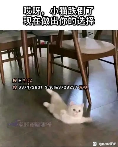 这是一张趣味meme静态图，画面主体是一只仰躺在室内地面上的白色小猫，四肢张开，神态无辜可爱，看起来像是跌倒的样子。图片上方配有文字“哎呀，小猫跌倒了 现在做出你的选择”，下方设置了两个操作选项：一个是简单易操作的“按E 抱起”，另一个是需要输入一串复杂难记字符的“按63747283) $:$;!&3728237 忽视”。通过模仿游戏按键交互的形式，用悬殊的操作门槛，引导观看者选择抱起可爱的小猫，制造出轻松有趣的效果，戳中人们喜欢可爱宠物的心理，没有双关、谐音等额外梗点。