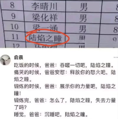图片由一张学生名单和一则网络评论拼接而成，焦点是“陆焰之瞳”这个极具中二气质的名字，被网友用作创作二次元风格的中二台词段子。网友用各种生活情景，依次喊出“陆焰之瞳”，让人联想到热血动漫中主角觉醒特殊能力的桥段，被网友玩梗为中文中二名字经典案例，极具网络喜感。

涉及二次元、中二病、现实姓名和网络热梗等元素，网友把普通名字玩成热血漫画设定，有明显夸张和幽默成分，是典型的中文互联网玩梗文化。