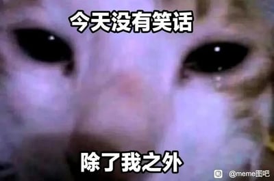 这是一张静态的文字加注类单图meme，主体是一只猫咪的脸部特写，猫咪眼角带泪，眼神低落，神情委屈又难过。图上配有两行白色加黑边的醒目文字，上方为“今天没有笑话”，下方为“除了我之外”，通过前后反差的文字，表达出强烈的自嘲情绪，将自己比作一个“笑话”，传递出无奈、心酸又自我调侃的负面情绪，适合用来抒发对自身处境的失落与自嘲感受。