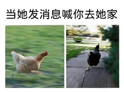 A meme showing two chickens (white and black) with the text '当她发消息喊你去她家', likely humorously comparing different scenarios or reactions when invited by someone.
