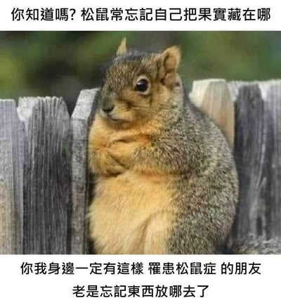 一张幽默的动物梗图，展示了一只站在木栅栏上的松鼠，它双手交叉在胸前，表情看起来有些疑惑。图片上方文字写着"你知道嗎? 松鼠常忘記自己把果實藏在哪"，下方文字则幽默地将这种行为比喻为"松鼠症"，指那些老是忘记东西放在哪里的朋友。这张图用可爱的动物形象和生活化的观察，创造出轻松有趣的幽默效果。
