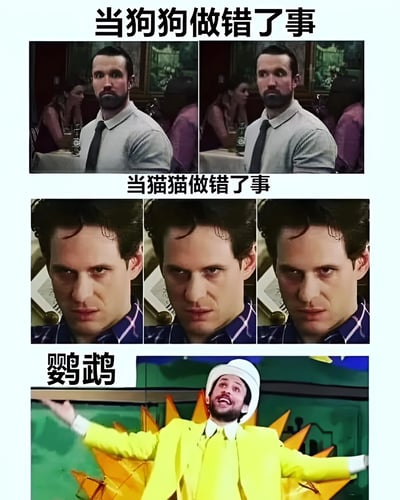 该梗图通过多图拼接形式对比不同宠物做错事的反应。上方两格为“当狗狗做错了事”，展示一名穿衬衫打领带的男子在餐厅中平静注视的画面；中间三格“当猫猫做错了事”，重复呈现一名穿格子衬衫男子严肃直视的特写；下方一格“鹦鹉”，则是一名穿亮黄色西装、戴白色帽子的男子张开双臂、表情夸张兴奋的场景。通过人物表情和动作的反差制造幽默效果，暗喻狗狗犯错时的温顺、猫猫犯错时的理直气壮与鹦鹉犯错时的活泼混乱。