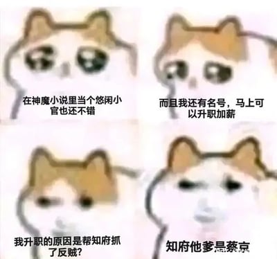 这是一张四格连环的图文混排梗图，采用了网络热门的拟人化猫耳猫猫头表情包作为主体形象，通过猫猫头的表情变化配合配文，讲述了一个充满职场落差感的故事：第一格中猫猫头眼神憧憬，表达了想在神魔小说背景里做个悠闲小官的朴素愿望；第二格猫猫头眼含期待，觉得自己即将升职加薪，充满对未来的向往；第三格猫猫头眼神疑惑，对自己升职的原因产生了怀疑；第四格猫猫头表情麻木无语，揭晓了升职的真相——自己帮的知府是奸臣蔡京的儿子，暗示自己所谓的职场晋升其实是卷入了权贵相关的麻烦事，努力最终只是为权贵服务，充满了职场的无奈与讽刺，精准戳中了当代职场人对职场不公、关系户现象的共鸣点。