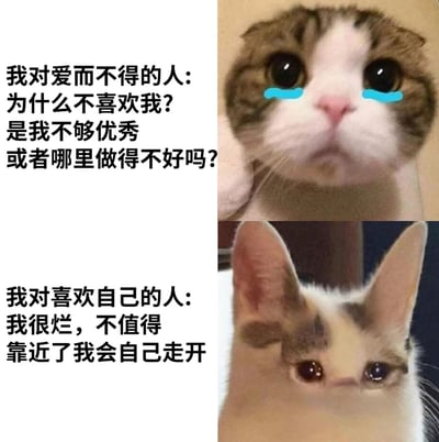 图片左侧为两段对比文字，上段写着“我对爱而不得的人: 为什么不喜欢我? 是我不够优秀 或者哪里做得不好吗?”，下段写着“我对喜欢自己的人: 我很烂，不值得 靠近了我会自己走开”。右侧为两张猫咪图片，上半部分是一只带有蓝色手绘眼泪的猫咪，眼神悲伤疑惑，对应上段文字；下半部分是一只耳朵竖起、眼神冷漠的猫咪，对应下段文字。整体通过文字与猫咪表情的结合，幽默展现了面对不同情感对象时的矛盾心理。