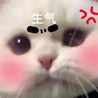 这是一张猫咪表情包，画面为猫咪的面部特写。猫咪有着大大的眼睛，脸颊呈现出可爱的粉色，额头上方配有“生气”二字，旁边还有红色的类似生气符号的图案，整体营造出一种虽然在表达生气但依然很萌的反差感，常用于在聊天中以俏皮的方式表达轻微的不满或假装生气的情绪。