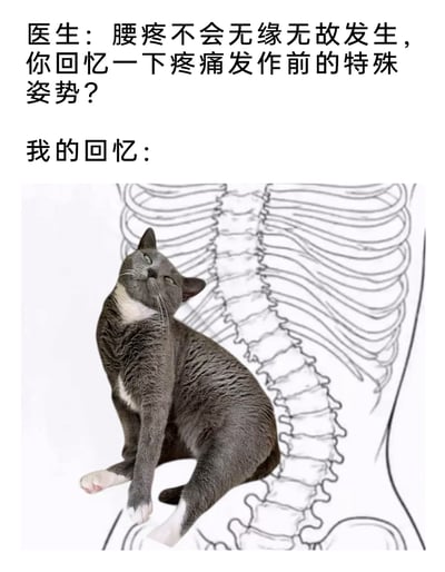 这是一则搞笑的健康相关图文内容，上方是医生与腰疼患者的对话，医生询问患者回忆腰疼发作前的特殊姿势；下方标注“我的回忆：”，并搭配一张合成图——一只灰白猫的照片与人体脊柱线稿重合，猫的身体形态完美贴合脊柱的扭曲曲线，以此幽默地调侃自己腰疼是因为保持了像猫一样扭曲的不良姿势，用夸张的方式展现日常不良体态对腰部的影响，充满趣味性。