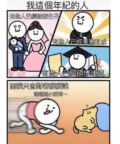 这是一张四格漫画风格的梗图，通过对比展现了同龄人不同的人生轨迹。上半部分三个格子分别描绘：穿着婚纱礼服抱着婴儿的夫妻、自信满满的职场人士、手持文凭的毕业生，配文"有些人已經結婚生子"、"有些人已經事業有成"、"有些人已經碩博連讀"。最后一格形成幽默反差，主角趴在地上对着小猫说"嘿嘿嘿小貓咪～"。

图片通过夸张对比，幽默地表达了在同龄人各种成就面前，自己选择与猫咪互动的轻松生活态度，反映了当代年轻人面对社会时钟压力时的自嘲与释然。
