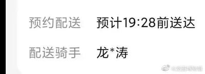 这是一张竖屏手机格式的设备界面屏幕截图，属于纯文字图，展示了外卖的配送信息：预约配送，预计19:28前送达，配送骑手为龙*涛。图片右下角带有微博水印@龙图博物馆，整体内容简洁，仅为物流配送的相关文字信息，没有双关、谐音梗或暗示内容。