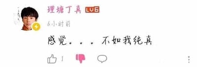 这是一张经过P图改编的社交媒体评论截图，模仿哔哩哔哩（B站）的评论界面样式，使用了理塘丁真的个人头像，创建了名为“理塘丁真”的LV6等级账号，发布了“感觉。。。不如我纯真”的发言内容。该图片属于网友的恶搞玩梗创作，借助理塘丁真走红时的“纯真”人设，通过模仿其账号发言的方式制造趣味调侃的效果。