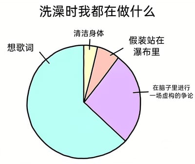 这是一张幽默的饼图梗图，标题为'洗澡时我都在做什么'。图中用不同大小的扇形展示淋浴时的活动占比：最大部分是'想歌词'，其次是'在脑子里进行一场虚构的争论'，然后是'假装站在瀑布里'，最小部分才是'清洁身体'。夸张的比例反差突出人们淋浴时常分心于内心活动的有趣现象，易引发共鸣。