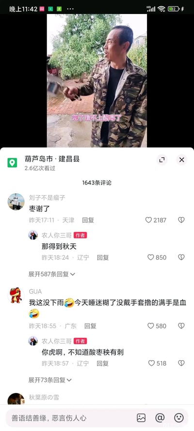 这是一张竖屏的短视频平台评论区截图，上方展示了短视频的片段：一位穿着迷彩外套的男性创作者“农人你三哥”，站在辽宁葫芦岛建昌县的农家院子里，背景有绿植和房屋，配文“完了撸不上酸枣了”，看起来因天气等原因无法采摘酸枣，神情懊恼。下方是评论区，该内容已有2.6亿次浏览，共1643条评论。高赞评论用户“刘子不是瘤子”留言“枣谢了”，玩了“早谢了”的谐音梗，作者回复“那得到秋天”；用户“GUA”分享自己没戴手套撸酸枣导致满手是血的经历，作者调侃“你虎啊，不知道酸枣秧有刺”，整体内容充满接地气的乡村生活气息，评论区的互动趣味十足，展现了普通人日常的搞笑瞬间。