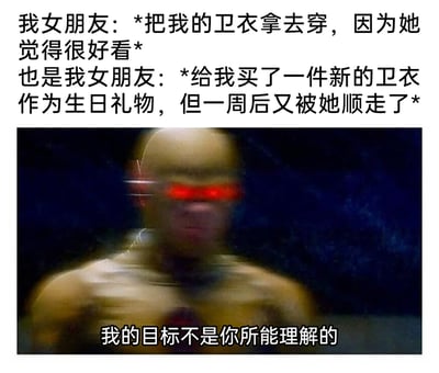 这是一张图文混排的搞笑网络梗图，上方用两段文字描述了情侣间的趣事：女友先是让“我”穿她的卫衣，理由是她觉得这件卫衣好看；之后又给“我”买了一件新卫衣作为生日礼物，可仅仅一周后，她又把这件新卫衣顺走了。下方搭配了DC影视《闪电侠》中逆闪高速移动时的模糊截图，并配文“我的目标不是你所能理解的”，用这个角色充满神秘感的台词，来精准表达“我”对女友这种前后矛盾、让人摸不着头脑的行为的困惑与无奈，将情侣间的小日常用超英梗进行放大，营造出荒诞搞笑的效果。