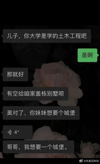 这张梗图展示了一段家族群聊的对话，父母得知儿子大学学的是土木工程后，表达了希望儿子以后能帮家里盖房子的想法，结果妹妹突然提出“想要一个城堡”。梗图以荒诞、夸张的亲情诉求为笑点，尤其结尾对“城堡”的夸张要求充满反差喜感。

**双关/梗点说明**：
- 家庭成员对土木专业的误解，期待能直接让孩子“盖楼房”，甚至“建城堡”，常见于现实生活中家长对工科专业的误解。
- “城堡”作为孩子的童年幻想和现实的巨大落差产生强烈幽默效果。