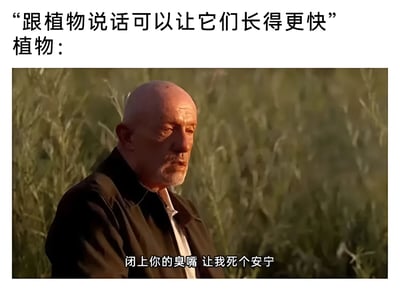图片上方配有文字'跟植物说话可以让它们长得更快 植物：'，下方是一张老年男性站在草地中的截图，人物表情不耐烦，底部字幕为'闭上你的臭嘴 让我死个安宁'。通过拟人化手法，幽默吐槽了'跟植物说话能促进生长'的常见说法，展现植物视角下希望安静生长的反差萌。