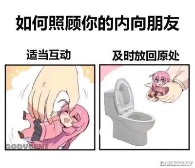 这是一张左右拼接的搞笑梗图，以日本动漫《孤独摇滚！》中的角色后藤独（波奇酱）为创作素材。上方大标题为“如何照顾你的内向朋友”，左侧配文“适当互动”，画面是一只大手捏起小小的波奇酱，她露出开心的表情；右侧配文“及时放回原处”，画面是大手拿着波奇酱靠近马桶，她露出惊恐的表情。该梗图用夸张戏谑的方式，调侃内向人群在短暂社交互动后，迫切需要回到自己“舒适安全区”的状态，无谐音梗、双关等特殊暗示内容。