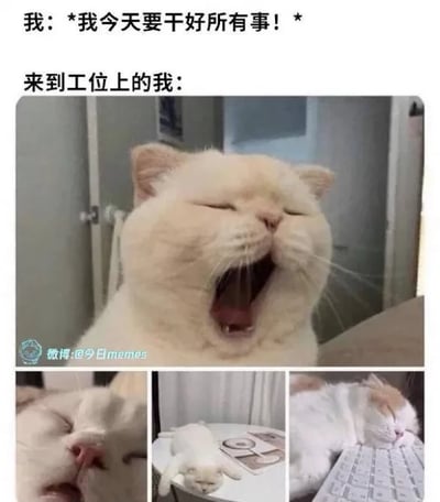 该梗图通过文字与图片的结合，幽默展现了打工人的日常反差：开头文字“我：*我今天要干好所有事！*”表现出早晨的高昂斗志，而“来到工位上的我：”下方则是一张张大嘴打哈欠的橘猫特写，以及三张猫咪困倦睡觉的小图（分别为：猫咪闭眼睡觉特写、猫咪趴在桌上睡觉、猫咪趴在键盘上睡觉），生动形象地描绘了从充满干劲到瞬间疲惫的真实状态，引发职场人士共鸣。
