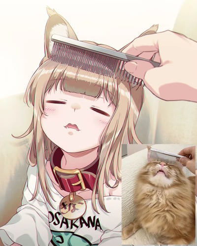图片左侧是一位动漫风格的猫耳少女，她有着浅棕色的长发和猫耳，闭着眼睛，脸颊泛红，表情享受地被人用金属梳子梳理头发。她穿着印有“OSAKANA”字样的白色衣服，脖子上戴着红色项圈，项圈上有一个圆形吊牌。图片右下角有一个小图，是一只真实的橘猫以相同的姿势被人用梳子梳理头部，猫咪同样闭着眼睛，露出舒适惬意的表情。两张图形成有趣的对比，展现了动漫角色与现实动物在相似情境下的可爱反应。