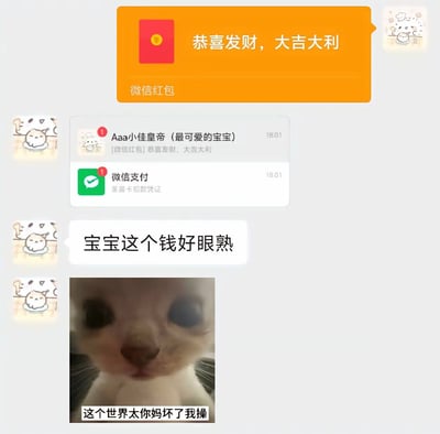 这是一张竖屏微信聊天记录截图，内容为用户发送微信红包后，收到微信支付亲属卡扣款的系统提示，随即反应过来自己发红包花的是自己的钱，发出“宝宝这个钱好眼熟”的感慨，最后配上一张表情委屈愤怒的猫咪表情包，配文“这个世界太你妈坏了我操”，用夸张的情绪吐槽这种自己给自己发钱的尴尬又好笑的经历，充满无奈与自嘲的氛围。