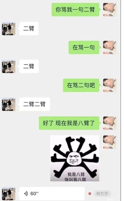 这是一段竖屏格式的微信聊天记录静态截图，记录了两位好友间的整活互动。绿色气泡用户先多次要求对方骂自己“二臂”，灰色气泡用户先后按要求骂了1次、1次、2次“二臂”，累计4次。随后绿色气泡用户玩起文字数值梗，将每次的“二”累加，2×4=8，因此自称“八臂”，并发送了一张带有八只手臂的熊猫头表情包，配文“我是八臂 快叫我八臂”，最后对方发送了一条60秒语音。整个对话充满无厘头的搞笑感，是好友间轻松的整活互动。