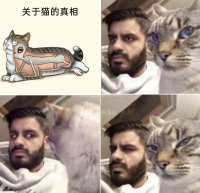 这是一张四格拼接的搞笑梗图，左上角是一幅卡通脑洞图，描绘了猫的“真实内部结构”——猫的外皮里是一个细长的怪异生物，玩“猫的真实形态”的脑洞梗；右上角、左下角、右下角是同一位络腮胡男子与猫咪的合照，当男子转头时，猫咪也同步转头，男子转回来，猫咪也跟着转回来，完美呼应了左上角的脑洞图，仿佛猫咪真的是被操控的外壳，制造出荒诞又搞笑的效果，放大了“猫的真相”这个脑洞的趣味性。